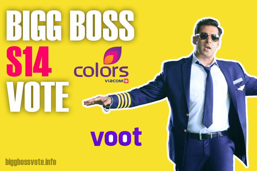 Bigg Boss Hindi Vote