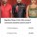 Bigg Boss 3 Telugu: Tough Competition Between Himaja and Mahesh